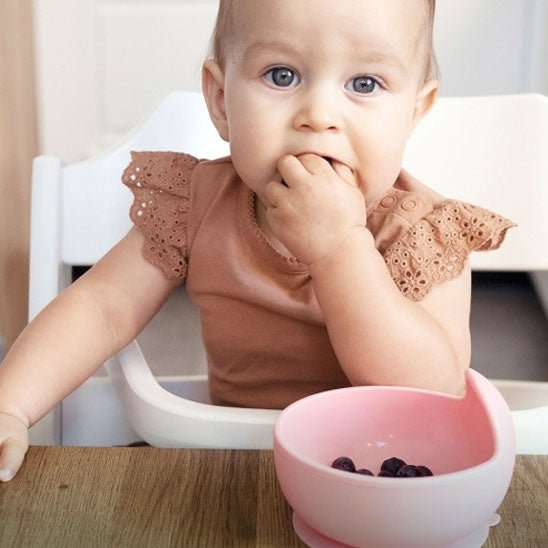 Assiette bebe anti - déversement - Paradis du bébé