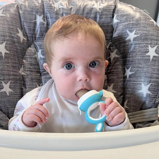 Grignoteuse bebe | Sécurisée - Paradis du bébé