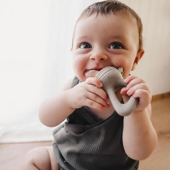 Grignoteuse bebe | Sécurisée Diversification - Paradis du bébé