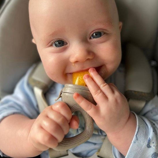 Grignoteuse bebe | Sécurisée Diversification - Paradis du bébé