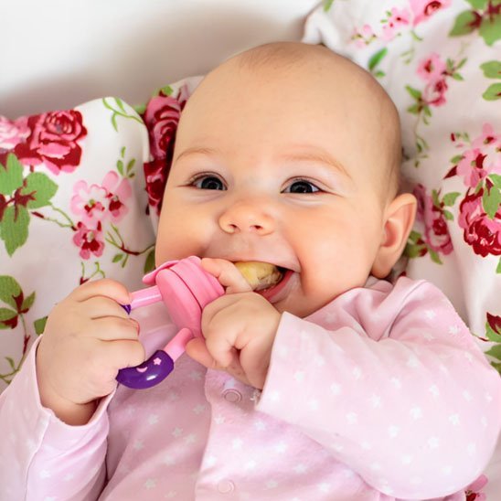 Grignoteuse bébé | Soothie - Paradis du bébé
