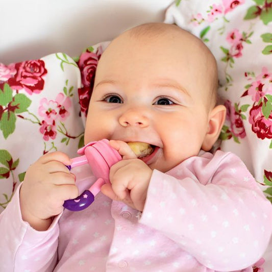 Grignoteuse bébé | Soothie - Paradis du bébé